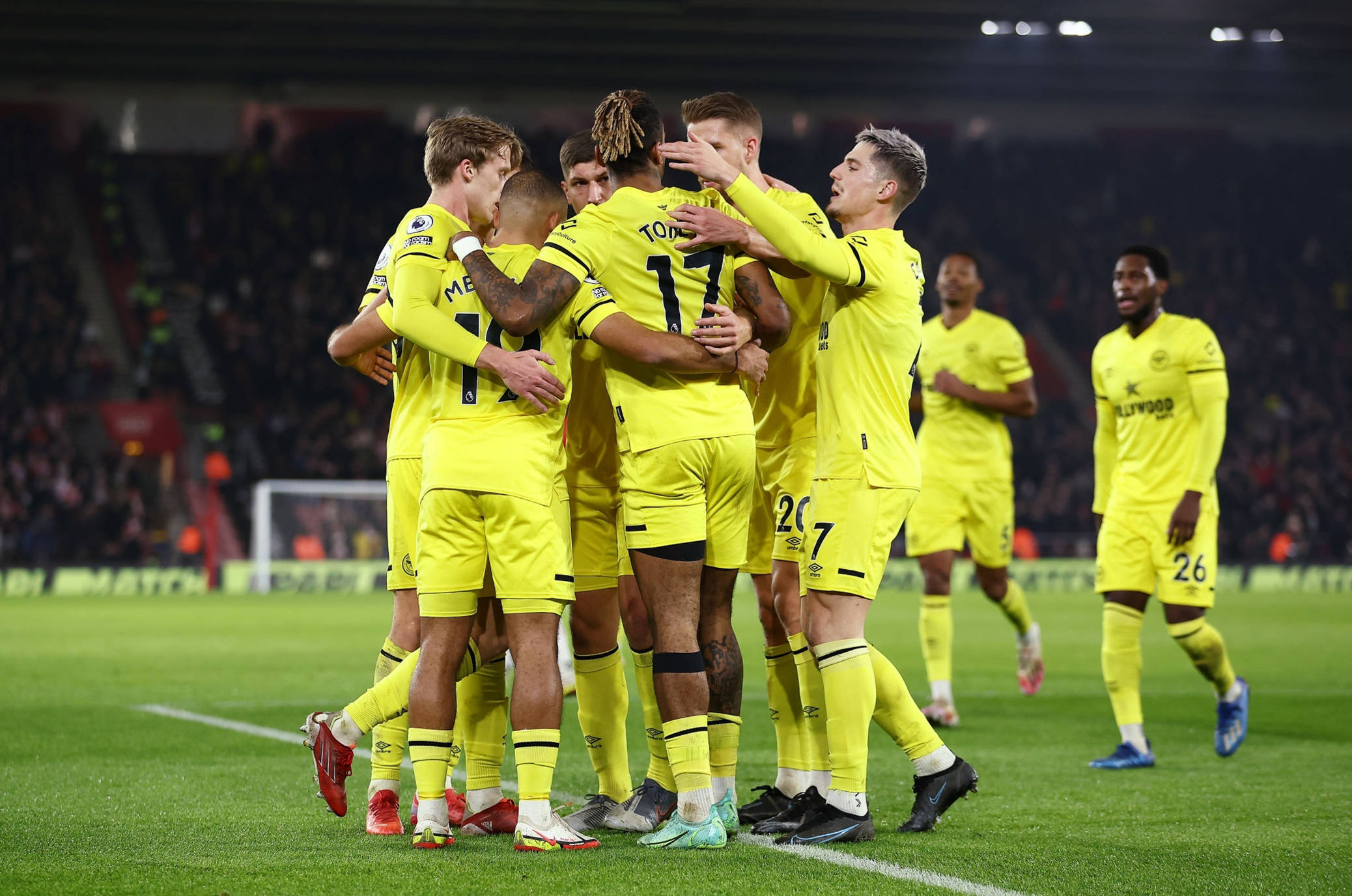 迷的目光 迷的目光