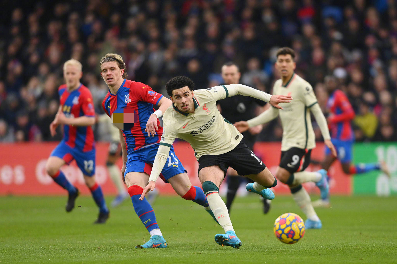 点变化的判 点变化的判